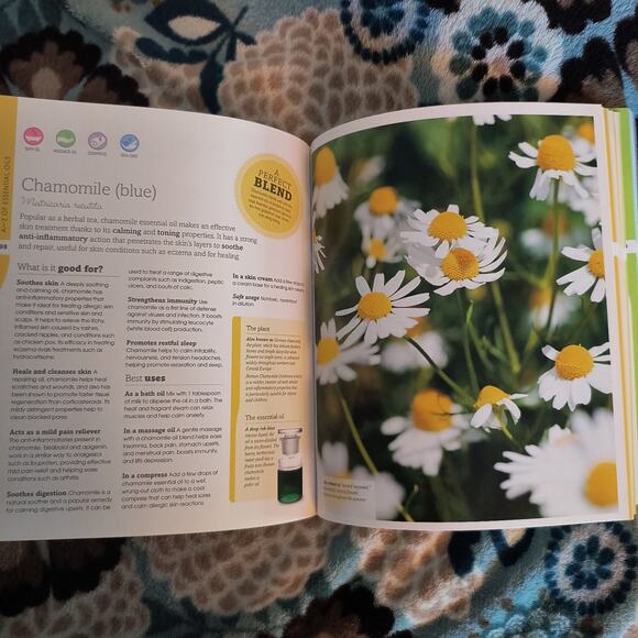 Essential Oils Remedies Book - Picture 4 of 4